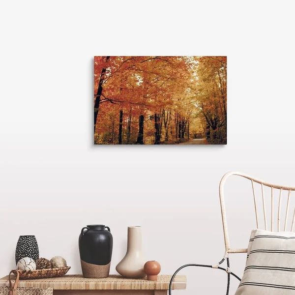 Footpath Through Autumn Forest, Large Solid-Faced Canvas Wall Art Print, Great Big Canvas
