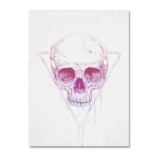 Trademark Fine Art Skull in Triangle Canvas Art by Balazs Solti, Size: 18 x 24