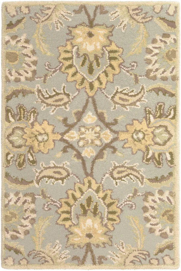 Surya Caesar CAE-1111 6& x 9& Area Rug