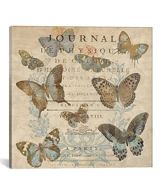 iCanvas Canvases Deborah - Deborah Devellier Papillon I Wrapped Canvas