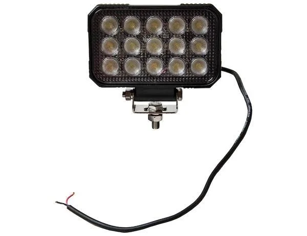 Buyers Products 1492196 LED Clear Flood Light, 6x22