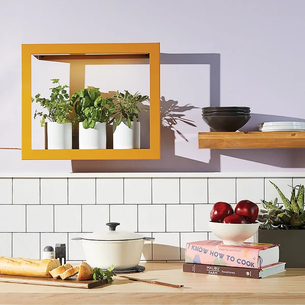 Modern Sprout Smart Growframe - Mustard