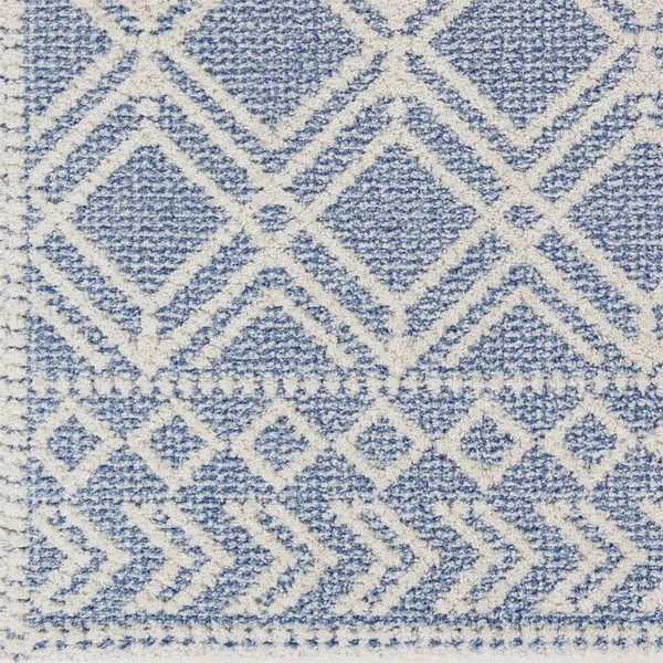 Valencia (Vlc-2314) - 6& 7x22 x 9& Rug