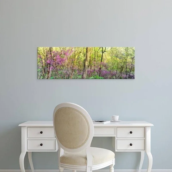 Easy Art Prints Panoramic Images&s &Redbud Trees in A Forest, Wayne National Forest, Ohio& Premium Canvas Art - 12 x 36 - Modern