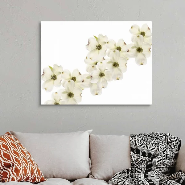 Dogwood Beauty - Canvas Wall Art, 40x30, Great Big Canvas