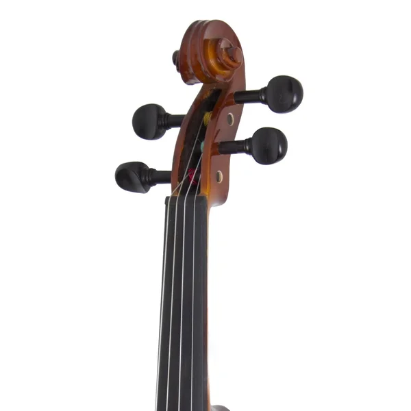 Cecilio CVN-300 Ebony Fitted Solid Wood Violin with D&Addario Prelude Strings, Size 1/2