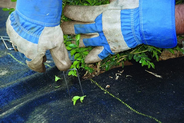 Dewitt P4 4 x 250x22 5 oz Pro 5 Commercial Landscape Weed Barrier Fabric 3 Pack