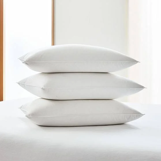 West Elm European Down Pillow Insert - Standard Pillow, Firm