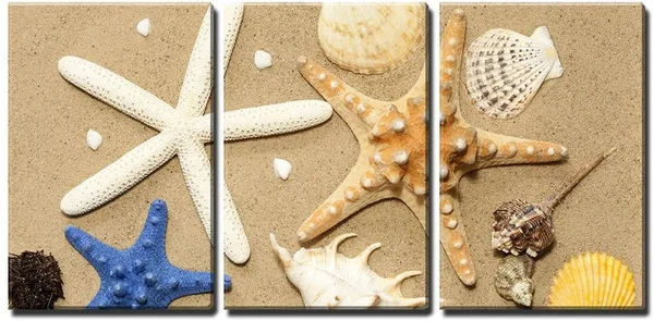 Wall26 - 3 Piece Canvas Wall Art - Shells and Starfish on Beach on Sand Background Abstract - Modern Home Decor Stretched and Fr