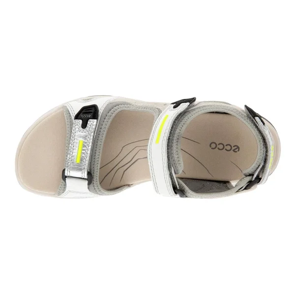 Ecco Offroad Women's Flat Sandal Multicolor, Silver Metallic, 39, M