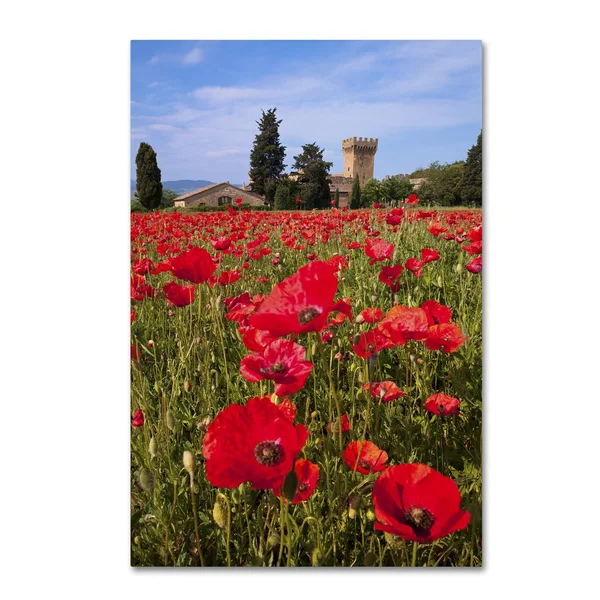 Trademark Fine Art &Poppies Close& by Michael Blanchette Photographic Print on Wrapped Canvas - Size: 47x22 H x 30x22 W x 2x22 D
