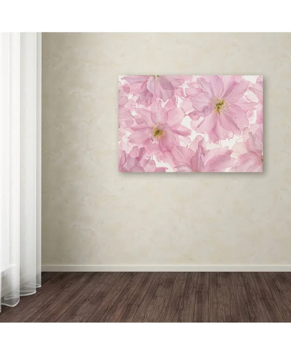 Trademark Fine Art &Pink Cherry Blossom& Canvas Art by Cora Niele - Size: 16 x 24