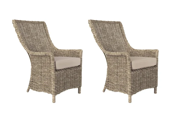 Allen + Roth Buchan Bay Set of 2 Wicker Yellow Metal Frame Stationary Dining Chair(s) with White Cushioned Seat - FRS60761