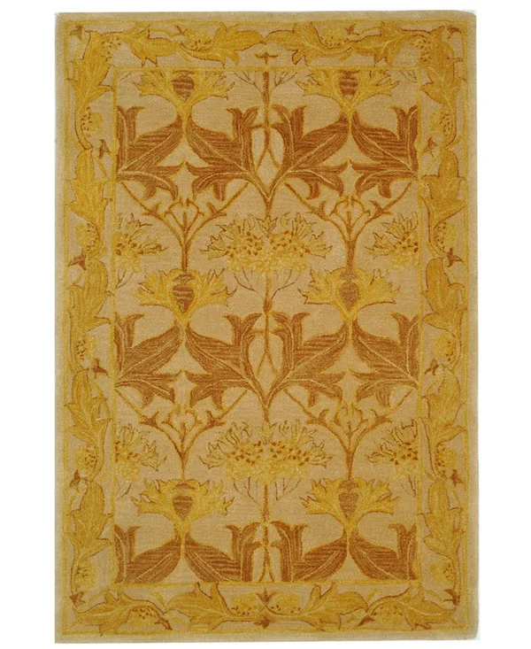 Safavieh Anatolia AN541B Area Rug - Ivory/Gold - Size: 6 x 9 ft.
