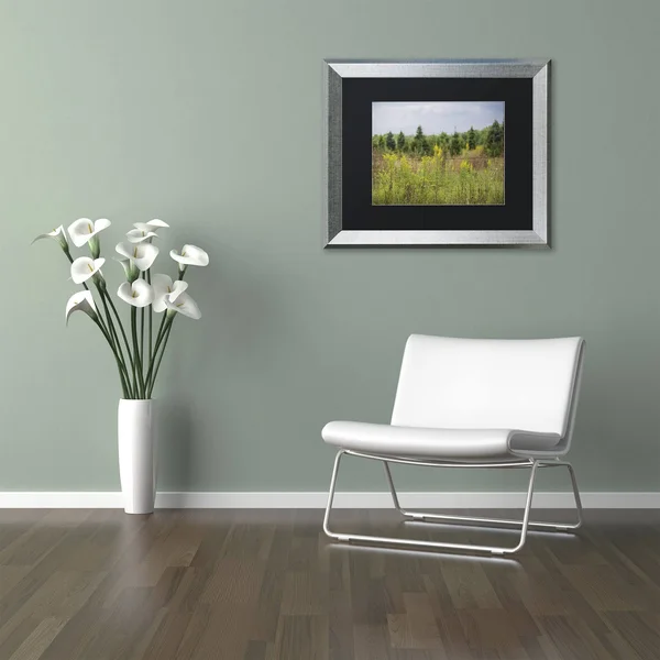 Trademark Fine Art Goldenrod Fence by Kurt Shaffer Framed Photographic Print - Size: 11x22 H x 14x22 W x 0.5x22 D