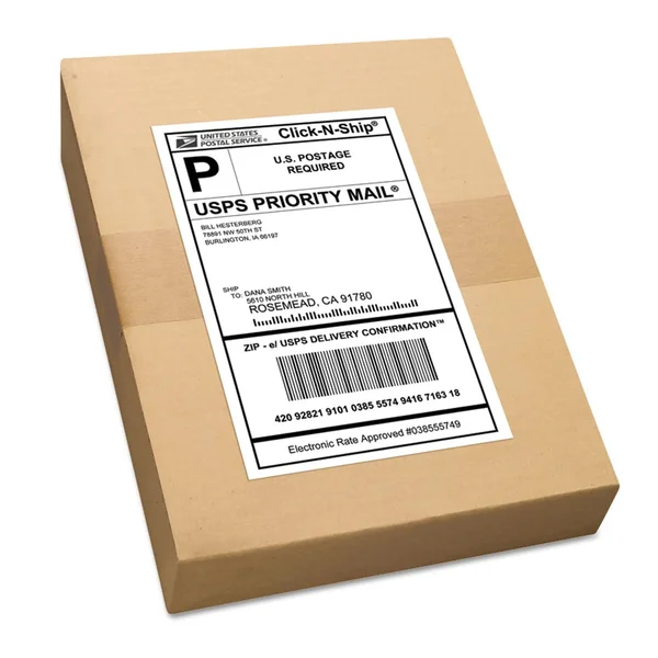 Avery TrueBlock Shipping labels, 5.5x22 x 8.5