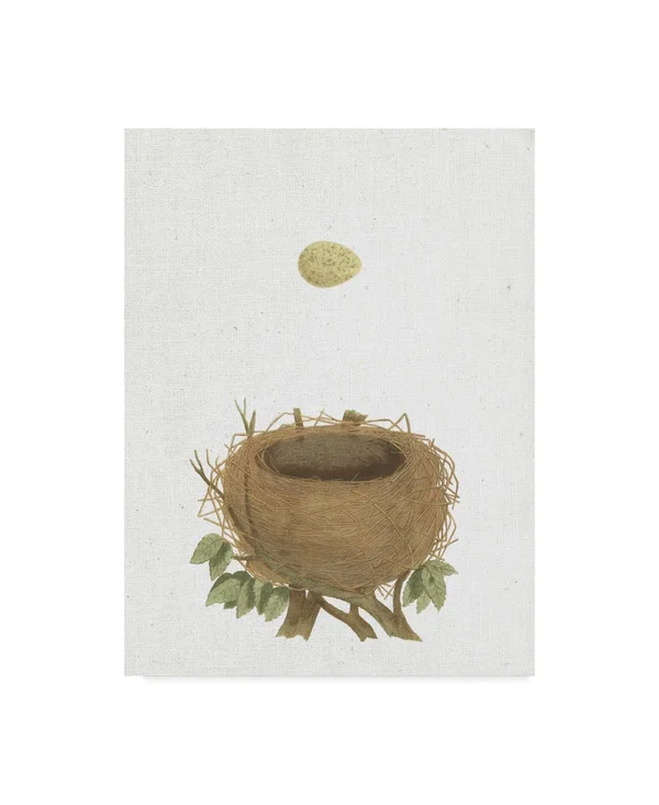 Trademark Fine Art 'Spring Nest II Crop' Canvas Art by Wild Apple Portfolio - Size: 14 x 19