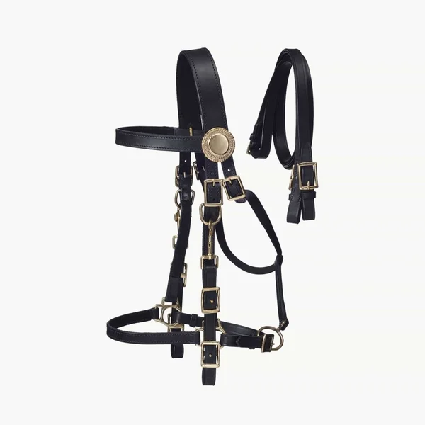 Australian Outrider Supreme Leather Halter Bridle - Black