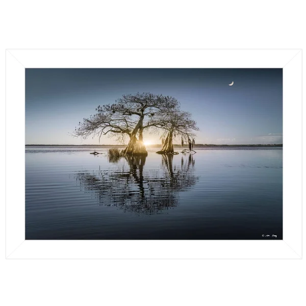 Tree Reflections by Moises Levy, Ready to Hang Framed Print, White Frame
