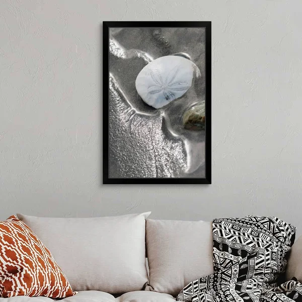 Sand Dollar - Black Framed Wall Art, 24x36, Great Big Canvas