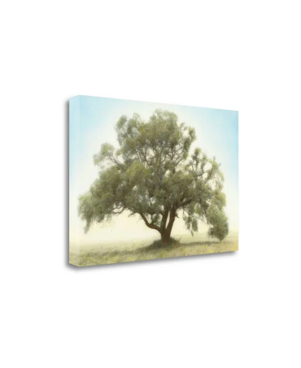 16x22 x 24x22 Oak and Blue Sky by William Guion Fine Art Giclee Print
