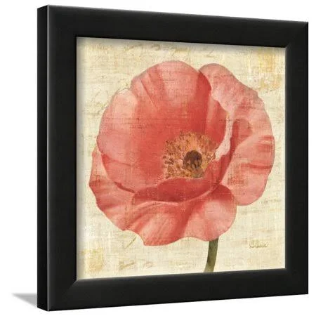 Blushing Poppy on Cream Framed Print Wall Art by Albena Hristova - Size: 12 x 12, Black
