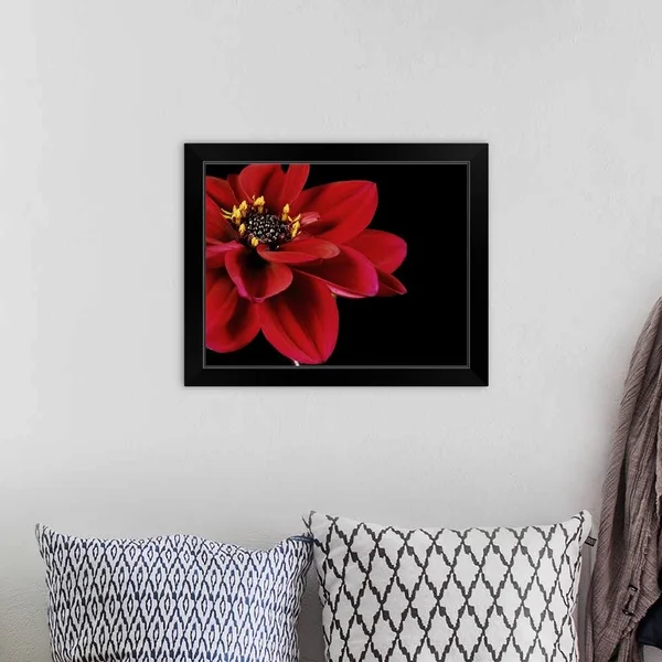 Red Flower on Black 02 - Black Framed Wall Art, 20x16, Great Big Canvas