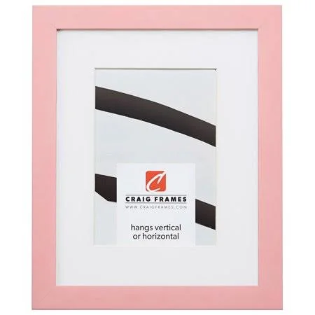 Craig Frames Confetti, 16x20 inch Modern Light Pink Picture Frame Matted for A 11x14 Photo, Size: 16 x 20