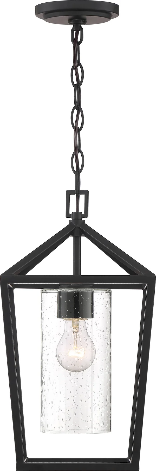 Nuvo Lighting 60/6594 Hopewell 1 Light Hanging Lantern Matte Black