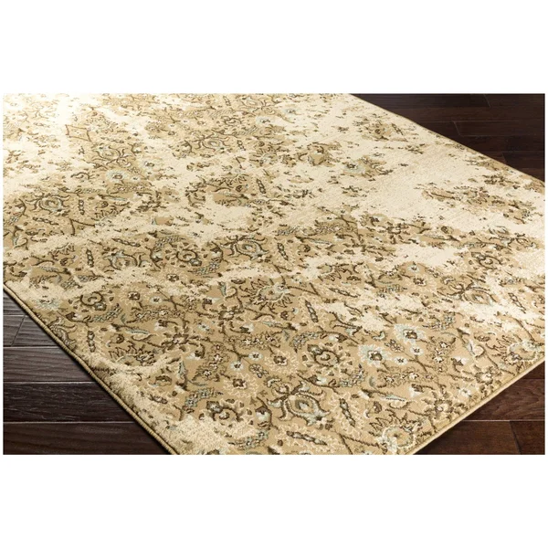 Surya Paramount PAR1067 Area Rug - 6&7x22 x 9&6x22