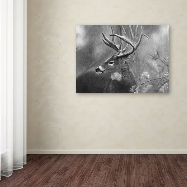 Trademark Art Chuck Black 'Rainy Days' Gallery-Wrapped Canvas Art