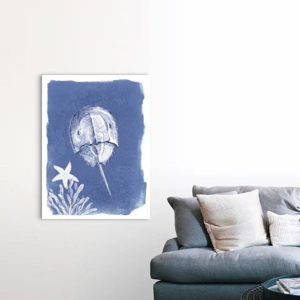 Coastal Sea Life VI - Canvas Wall Art, 36x48, Great Big Canvas
