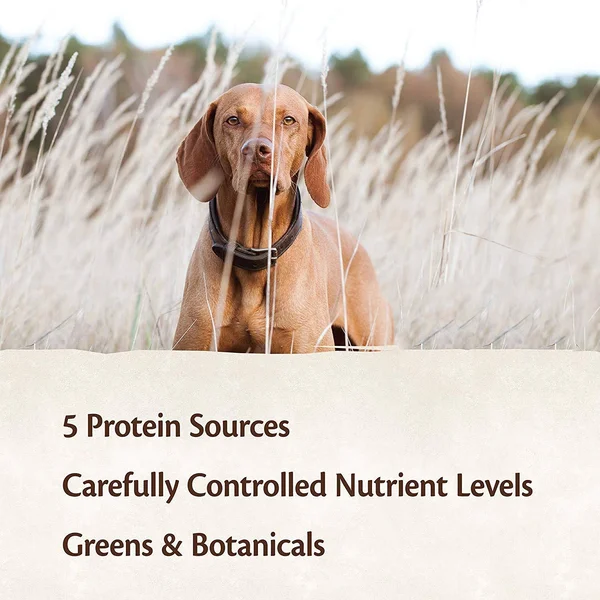 Wellness Core Natural Wet Grain Free Canned Dog Food - Salmon, Whitefish & Herring, 12.5-Ounce Can (Pack of 12)