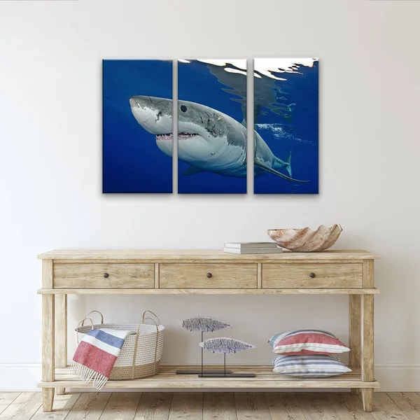 Ready2HangArt Chris Doherty &Shark& Canvas Art 3-Piece Set