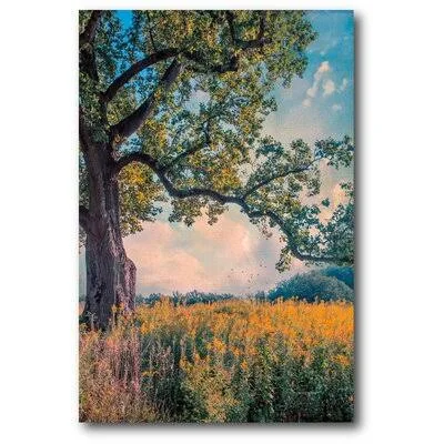 Alcott Hill 'John Rivera Where I Daydream' Graphic Art Print on Wrapped Canvas