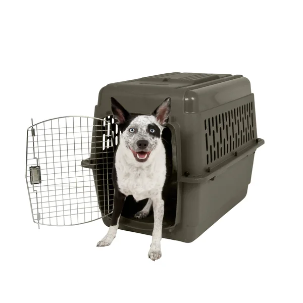 Aspen Pet Porter 40x22 Fash 70-90Lbs