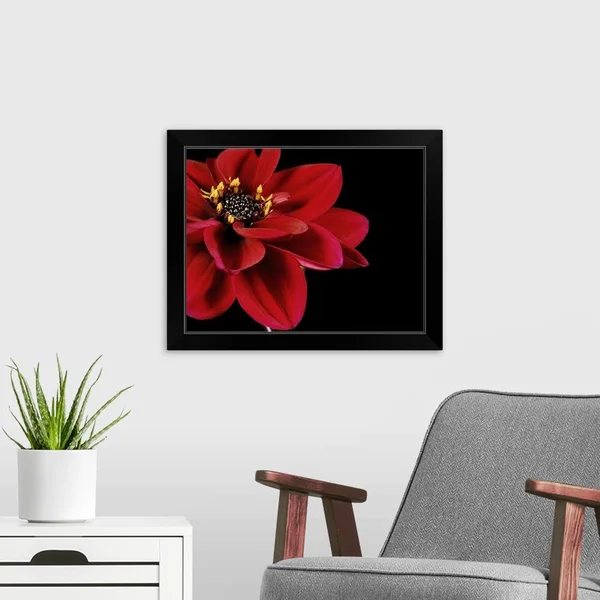 Red Flower on Black 02 - Black Framed Wall Art, 20x16, Great Big Canvas