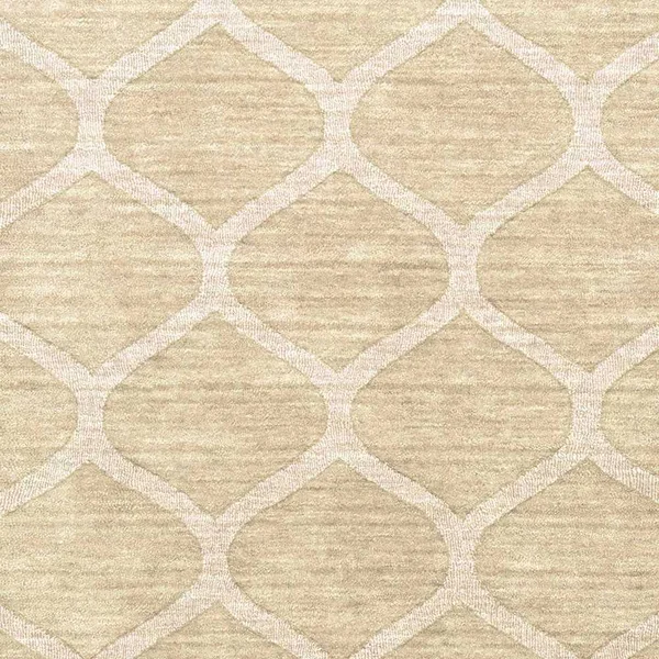 Avinger 8& x 11& Solid & Border Wool Area Rug - Hauteloom