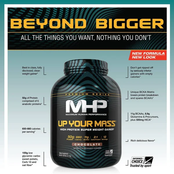 MHP Up Your Mass (5lbs Chocolate)