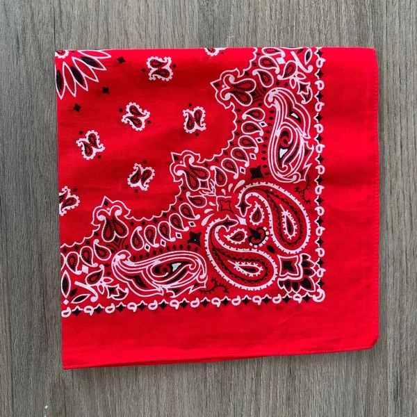 BathBeautyGiftShop Designed in The USA Paisley Bandanas - Red 100% Cotton - Square 22x22 x 22x22