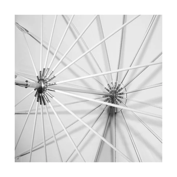 Savage 43x22 Umbrella - Black/White