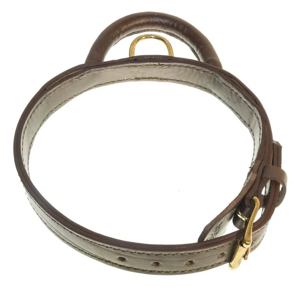 Dogline-Viper V3101-6 Two-Ply Leather Collar with Handle Brown - 2 W x