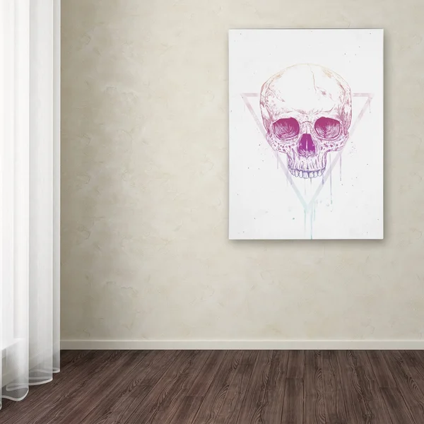 Trademark Fine Art Skull in Triangle Canvas Art by Balazs Solti, Size: 18 x 24