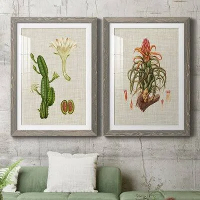 Elegant Tropicals IIIPremium Framed Print - Ready to Hang Union Rustic Format: Gray Framed Paper, Matte Color: White, Size: 37.5