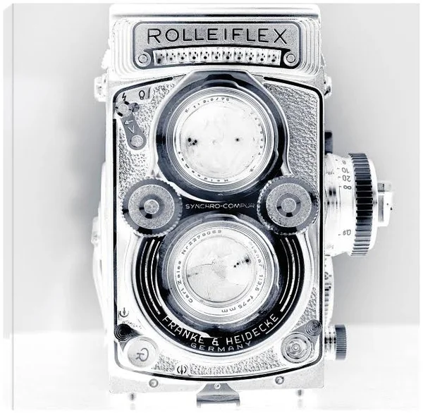 Rolleiflex Xray Canvas Print by Moises Levy 22X22 Fineartcanvas