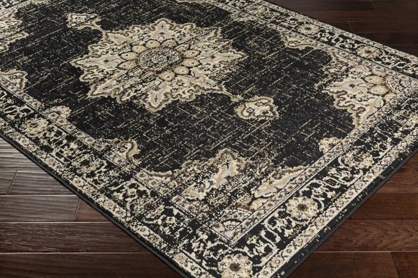 Surya Paramount PAR-1089 Black Area Rug 6&7x22 x 9&6x22