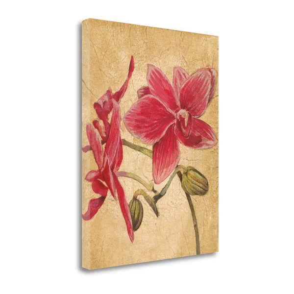 Tangletown Fine Art Hawaiiantropics II by Liz Jardine