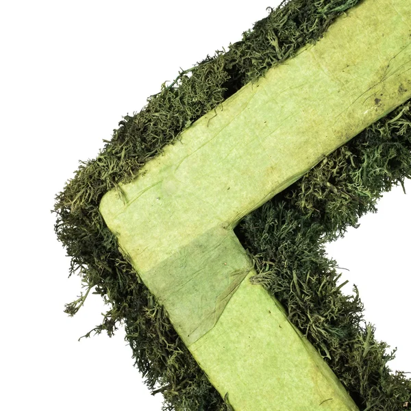 Vickerman 15.5 Reindeer Moss Square-Dark Green