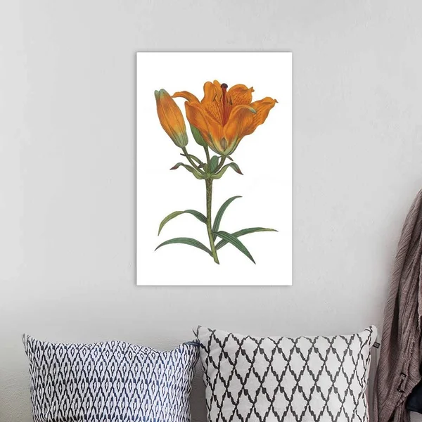 Antique Botanical XX on White, Canvas Wall Art, 16x24, Great Big Canvas