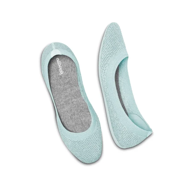 Allbirds Women's Tree Flats, Frost, Size 5
